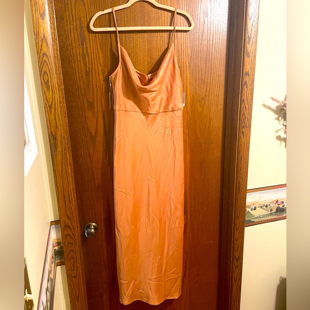 Taylor, New With Tags, Size 8, Earthy Orange Dress
